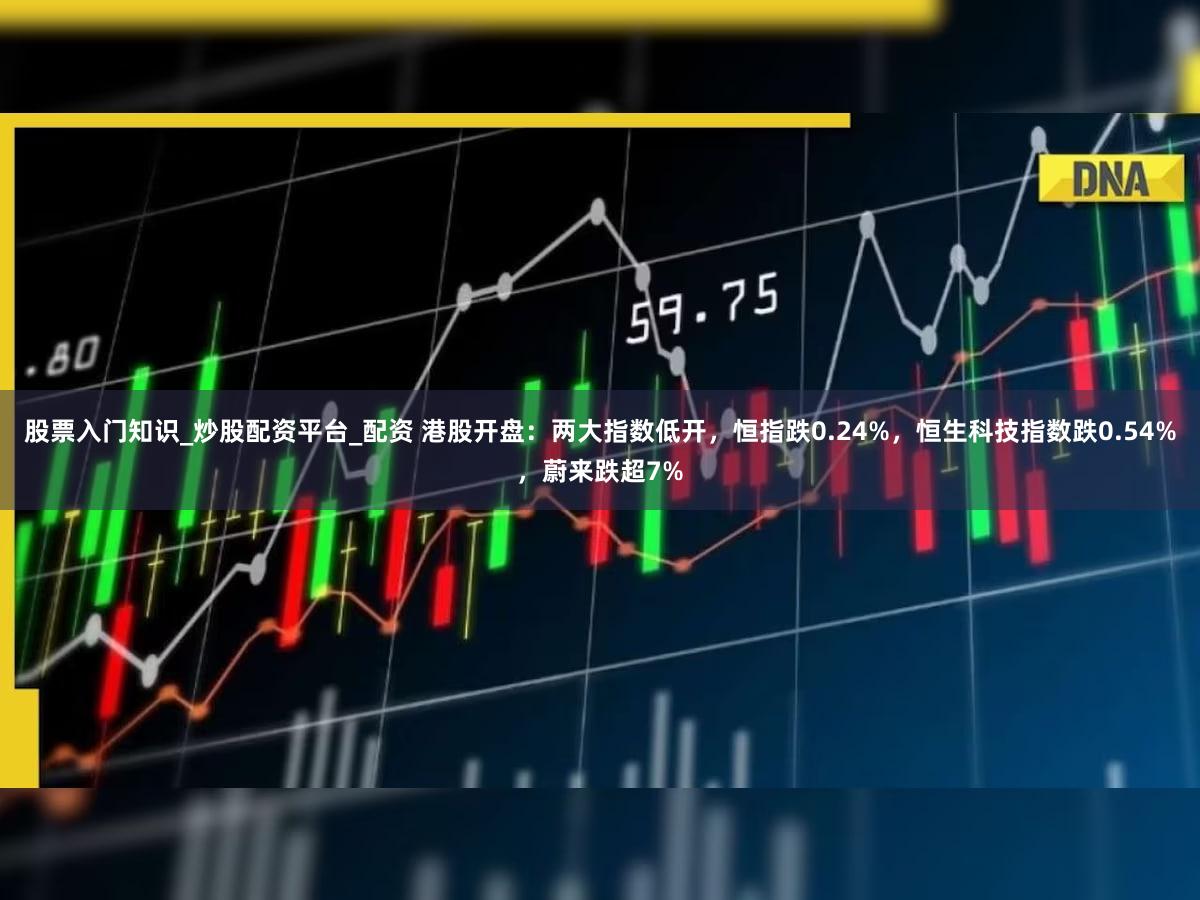 股票入门知识_炒股配资平台_配资 港股开盘：两大指数低开，恒指跌0.24%，恒生科技指数跌0.54%，蔚来跌超7%