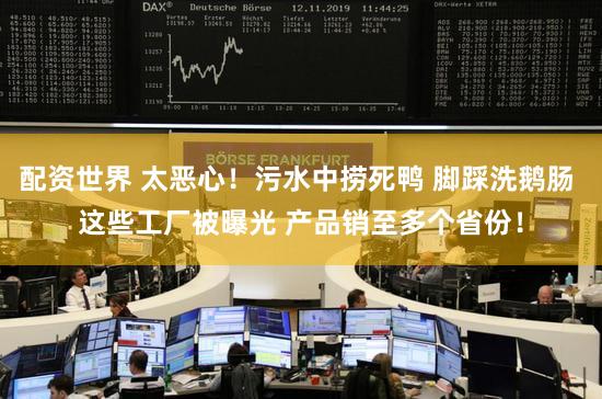 配资世界 太恶心！污水中捞死鸭 脚踩洗鹅肠 这些工厂被曝光 产品销至多个省份！