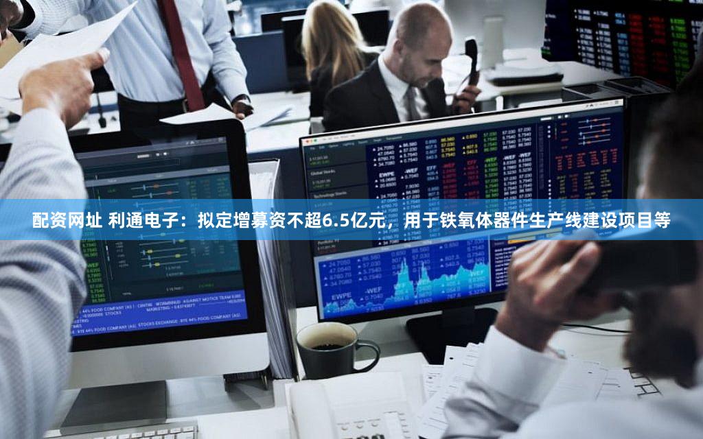 配资网址 利通电子：拟定增募资不超6.5亿元，用于铁氧体器件生产线建设项目等