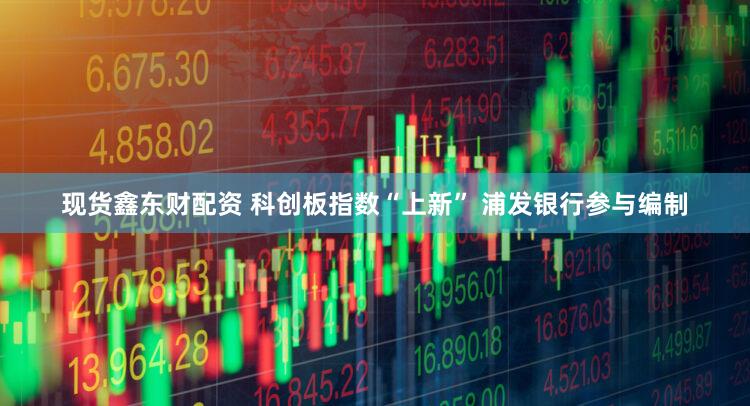 现货鑫东财配资 科创板指数“上新” 浦发银行参与编制