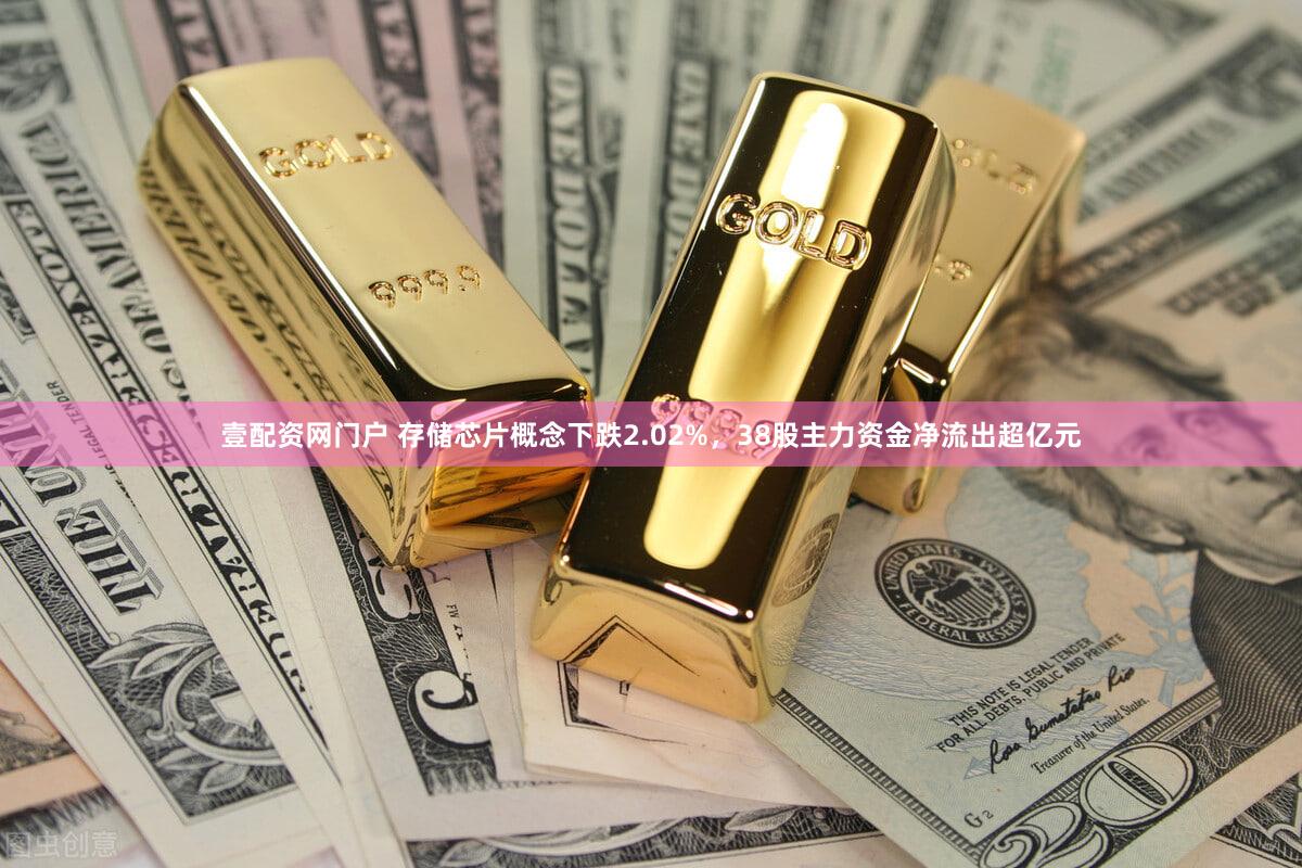 壹配资网门户 存储芯片概念下跌2.02%，38股主力资金净流出超亿元