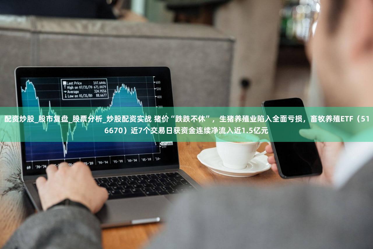 配资炒股_股市复盘_股票分析_炒股配资实战 猪价“跌跌不休”,生猪养殖业陷入全面亏损,畜牧养殖ETF(516670)近7个交易日获资金连续净流入近1.5亿元