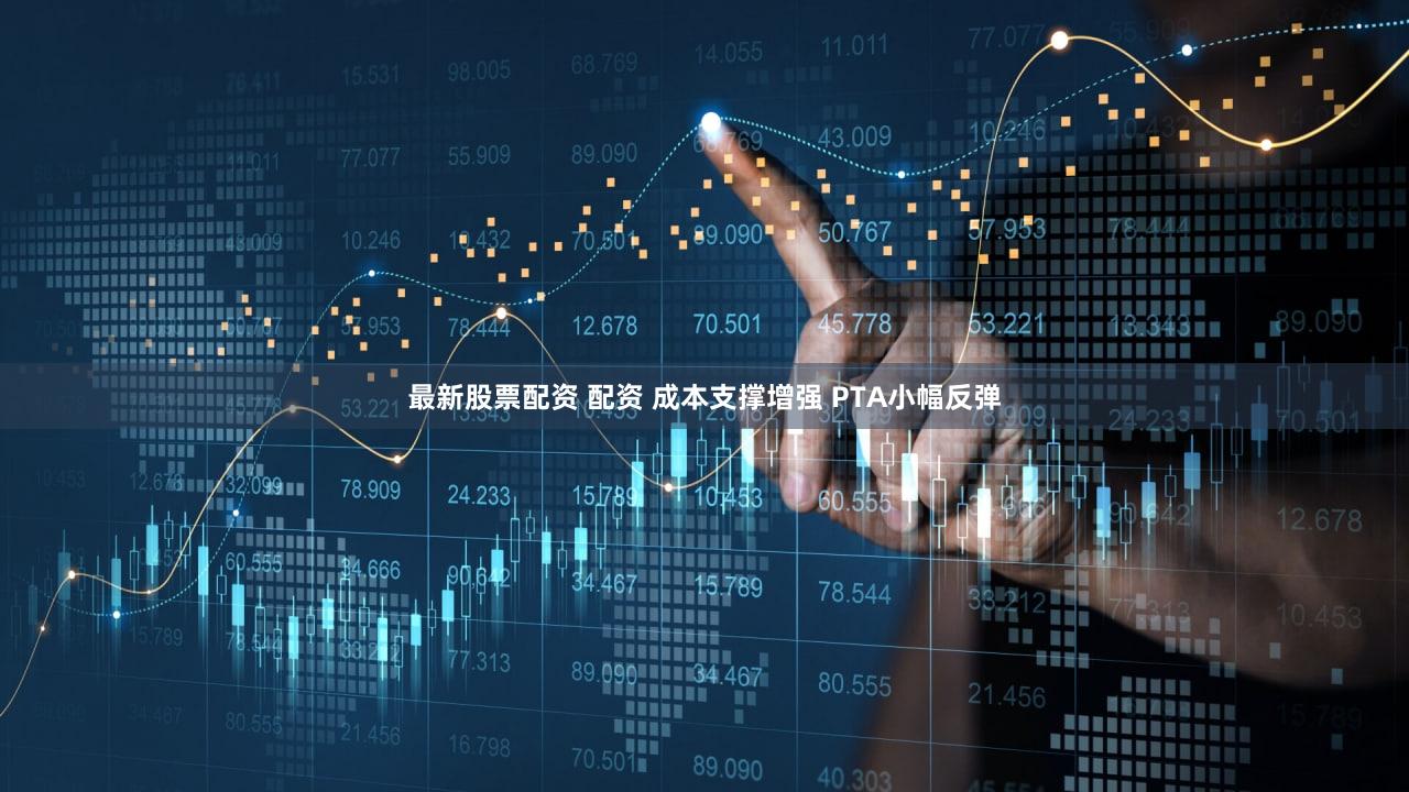 最新股票配资 配资 成本支撑增强 PTA小幅反弹