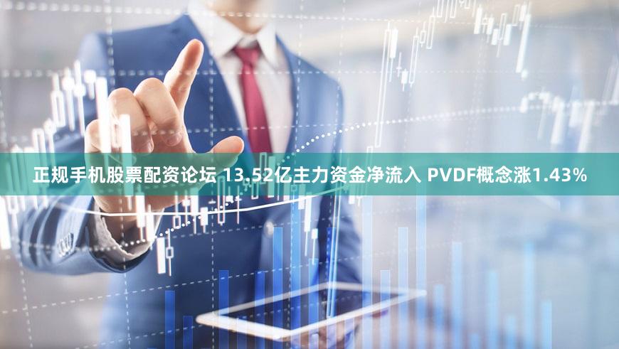 正规手机股票配资论坛 13.52亿主力资金净流入 PVDF概念涨1.43%