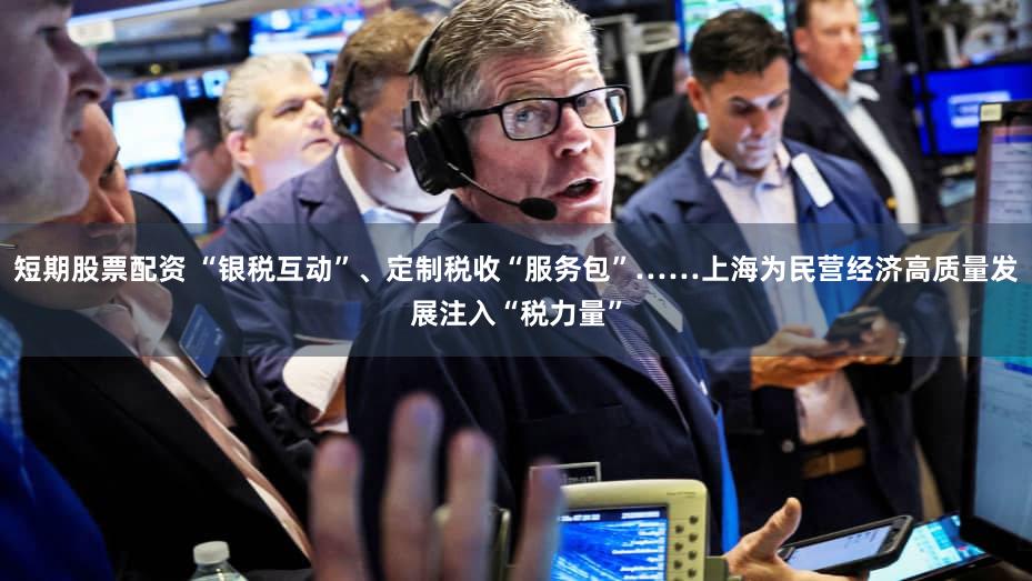 短期股票配资 “银税互动”、定制税收“服务包”……上海为民营经济高质量发展注入“税力量”