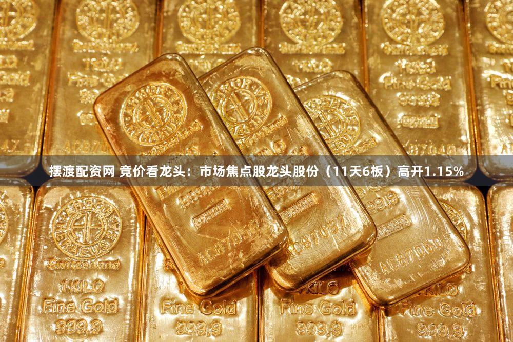 摆渡配资网 竞价看龙头：市场焦点股龙头股份（11天6板）高开1.15%