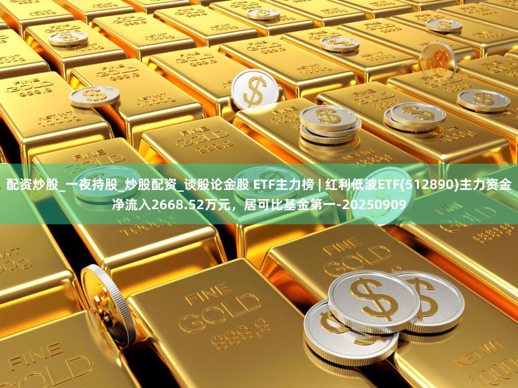 配资炒股_一夜持股_炒股配资_谈股论金股 ETF主力榜 | 红利低波ETF(512890)主力资金净流入2668.52万元，居可比基金第一-20250909