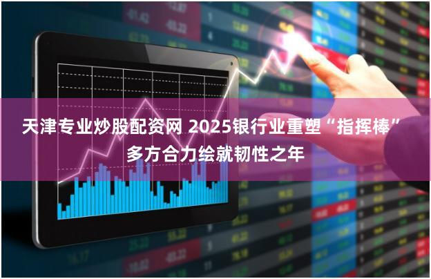 天津专业炒股配资网 2025银行业重塑“指挥棒” 多方合力绘就韧性之年
