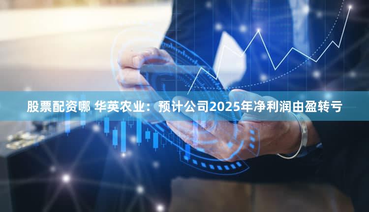 股票配资哪 华英农业:预计公司2025年净利润由盈转亏